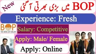 The Bank Of Punjab Jobs 2024 | BOP CSO Jobs 2024