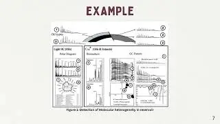 Geochemical Analysis in Reservoir Fluids