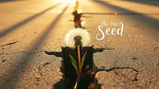 Be the Seed