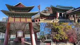 Changdeokgung Palace & Secret Garden 🇰🇷 | Seoul&rsquo;s Hidden Royal Retreat