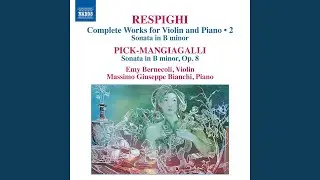 Violin Sonata in B Minor, P. 110: III. Passacaglia: Allegro moderato ma energico