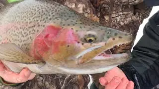Michigan Trophy Steelhead Ice Fishing! Tutorial on how to keep fishing below 0 degrees and in wind!