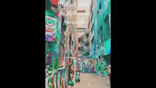 【Hosier Ln】 in Melbourne. Famous wall art street. Enjoy arts💓