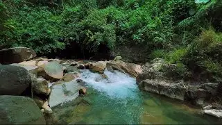 4K-HDR | Sleep Water Stream Sounds Ambience for Stress-Free Night | Relaxing River Flow Mind Calm