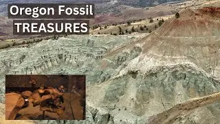 Exploring Oregon's SPECTACULAR John Day Fossil Beds National Monument's Blue Basin! Amazing Fossils.