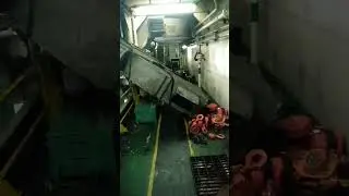 10 February 2024 #best #hardwork #work #vessel #sailor