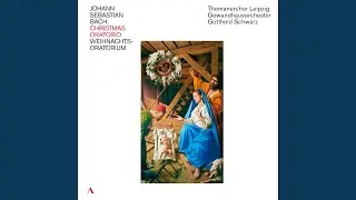 Weihnachts-Oratorium, BWV 248, Pt. 3: No. 29, Herr, dein Mitleid, dein Erbarmen (Live)