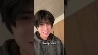 Что пела птица?