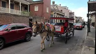 Our Wild New Orleans Adventure (Part 1): From Airport Nightmares to Voodoo & Jazz!