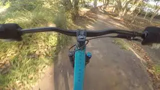 Markham trails on the dirt jumper