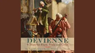Trio V in G Major: I. Allegro