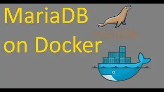 How to run Mariadb in Docker and Connect Remotely