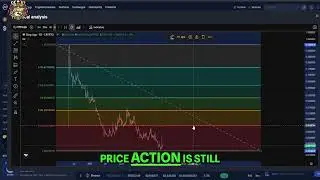 StepApp FitFi Update: Will the Price Hold?