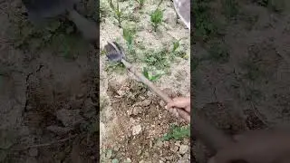 part2 Sharing of good things for agriculture, rural areas and farmers Green Fields Forever