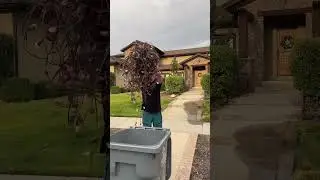 Don't worry about hanging Christmas lights again with JellyFish Lighting!