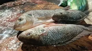 🔴 Live Fish Cutting ASMR | Fresh Catch Cleaning | Natural Market Sounds for USA & Europe