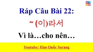 Ráp Câu Tiếng Hàn - Bài 22: [~ (이)라서 ] Vì là…cho nên… | Hàn Quốc Sarang