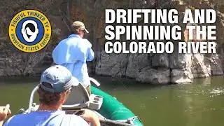 Drifting and Spinning the Colorado River (trout fishing); Fishful Thinker TV