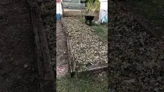 Annual Fall Garden Maintenance