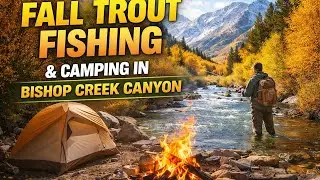 Trout Fishing and Camping in Bishop Creek Canyon