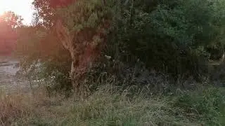 Byecross Farm Campsite, River Wye