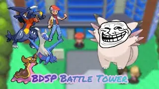 Pokémon Perle Scintillante - Session Tour de Combat