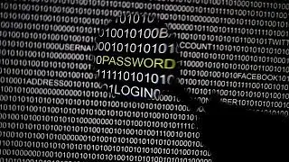 Arrests worldwide in FBI-led crackdown on 'snooping' cybercrime
