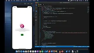 Expo React Native Tutorial Basic 6 Image Picker
