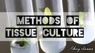Methods of Plant Tissue Culture || Methods of Plant Tissue || Tissue Culture techniques