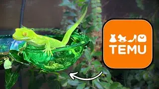 I Tried TEMU products for my Reptiles........my experience!