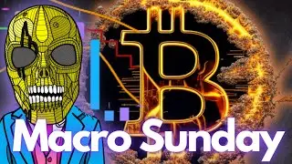 The Best Bitcoin Volatility Analysis.