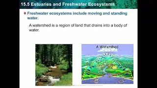 15.5 Estuaries and Freshwater Ecosystems (Part2)