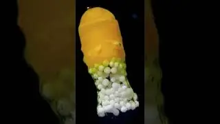 pills in water  ultra slow mode#medicine#pills#micro#micro#shorts