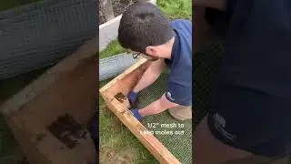 DIY Raised Garden Bed #shorts