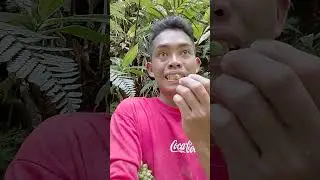 #Nanards hahahah 😂🤣