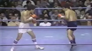 WOW!! WHATA A KNOCKOUT | Alfonso Zamora vs Alberto Sandoval, Full HD Highlights