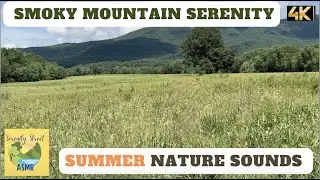 Smoky Mountain Serenity - 4K Video - 1 HOUR - Nature Sounds, Peaceful, Mountains, Summer