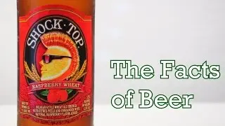 The Facts of Beer - Raspberry Wheat