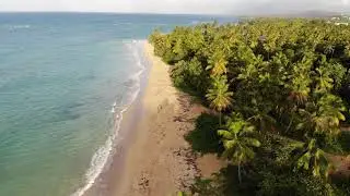 Copyright Free 4K Drone footage of a tropical beach in the Dominican republic Footage.