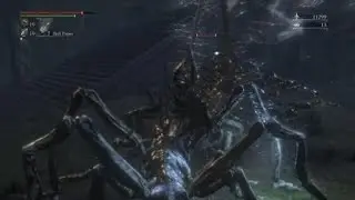 Wild Bareback Bug Riding Pay Per View Live From The Hintertombs (Raw) (Explicit)