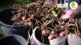 Kringloopkrachten aan huis: hoe werkt het?