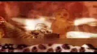 Rivermaya - Sunday Driving