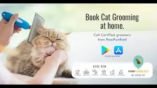Book a Certified Cat Groomer at Your Doorstep | Pawpurrfect