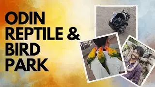 Odin Reptile & Bird Park | Hidden Place In Surat For Animal Lovers | Nature Park @ Dumas  Road Surat