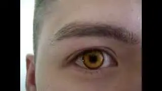 Edward Video (www.circleafx.com)