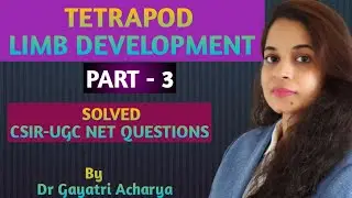 TETRAPOD LIMB DEVELOPMENT /PART-3/GENERATING ANTERIOR-POSTERIOR AXIS OF THE LIMB/ Dr Gayatri Acharya