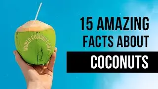 World Coconut Day Special - 15 Amazing Facts About Coconuts