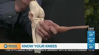Know Your Knees