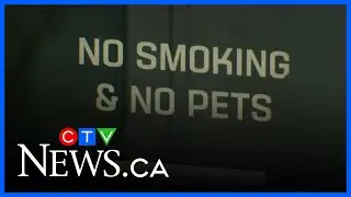 Humane Society pushing for more pet-inclusive housing