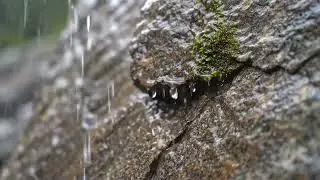 Relaxing Rain Sounds on Rocks - Gentle Rainfall for Sleeping and Study